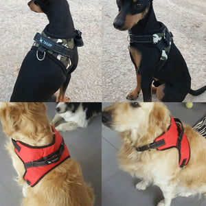 Camo Dog Harness