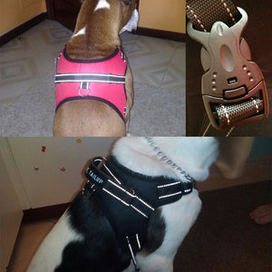 Camo Dog Harness